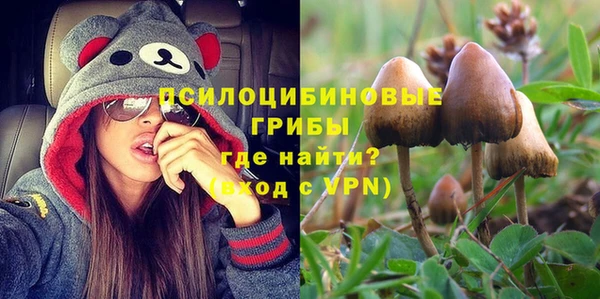 экстази Арсеньев