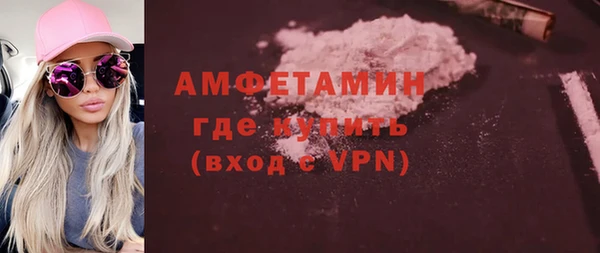 дмт Пересвет