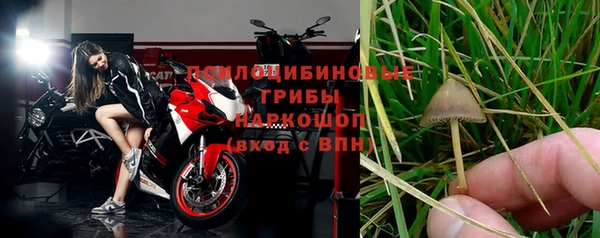 стаф Армянск